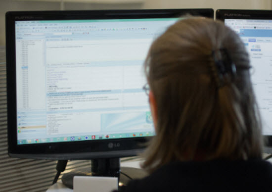 Multimedia localization professional views screen with linguistic translation preview for proprietary e-Learning course.